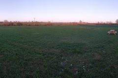 North field