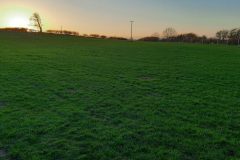 North field
