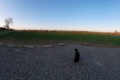 North field, view from parking area