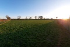 South field